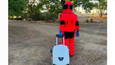 El Ayuntamiento culpa a la junta de inacción ante el Avispón Oriental.