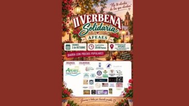 II Verbena Solidario de AFEAES