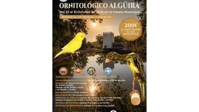 La Caseta Municipal reúne más de 2.000 ejemplares de aves que compiten en belleza